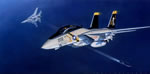 "Tomcat!" - Jack Fellows - F14 VF-17 Jolly Rogers Aviation Art